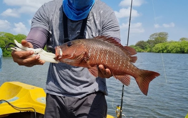 Half Day Inside Lagoon Trolling Fishing